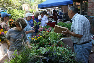 Farm Market