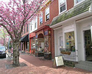 Street Trees
