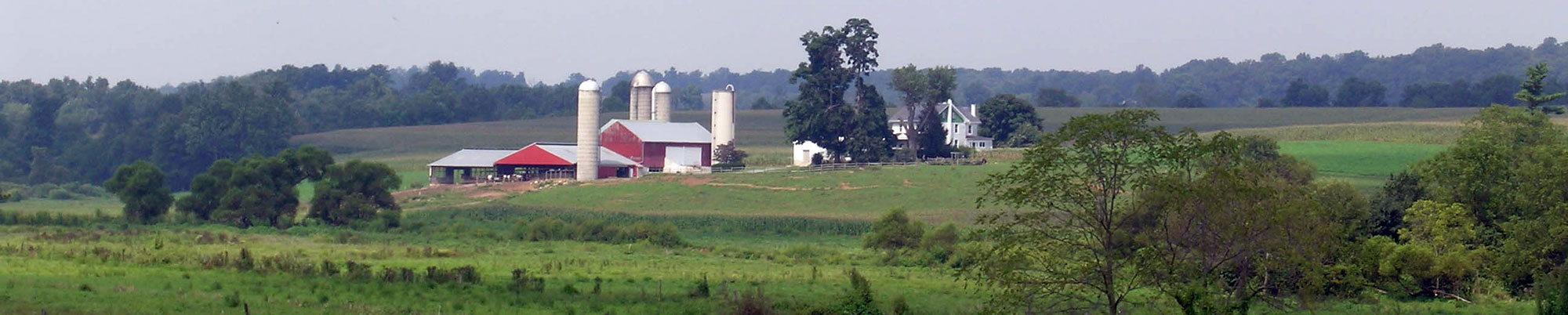 Farm Photo