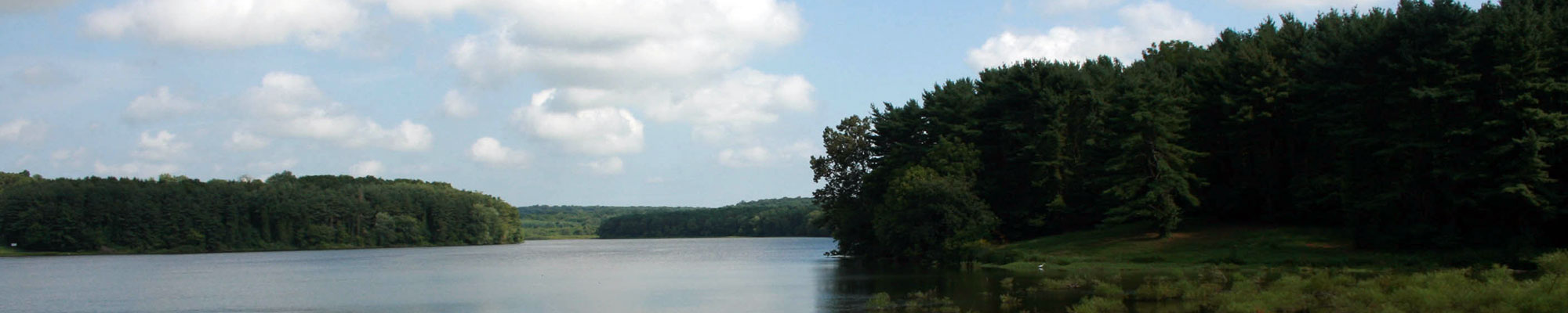 water, land, and sky