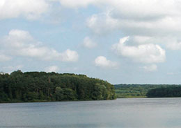 lake, trees, sky