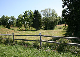 open field
