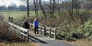 park with trail