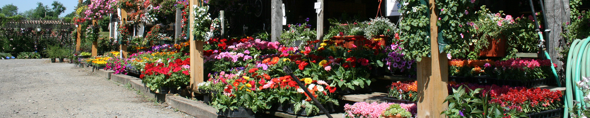 farm stand