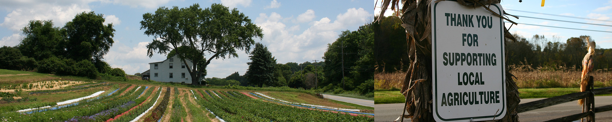 sign saying thank you for supporting local agriculture