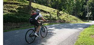 cyclist on road