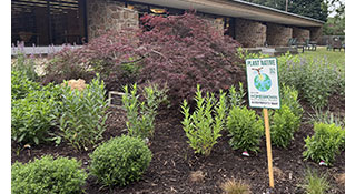 native garden outside of library