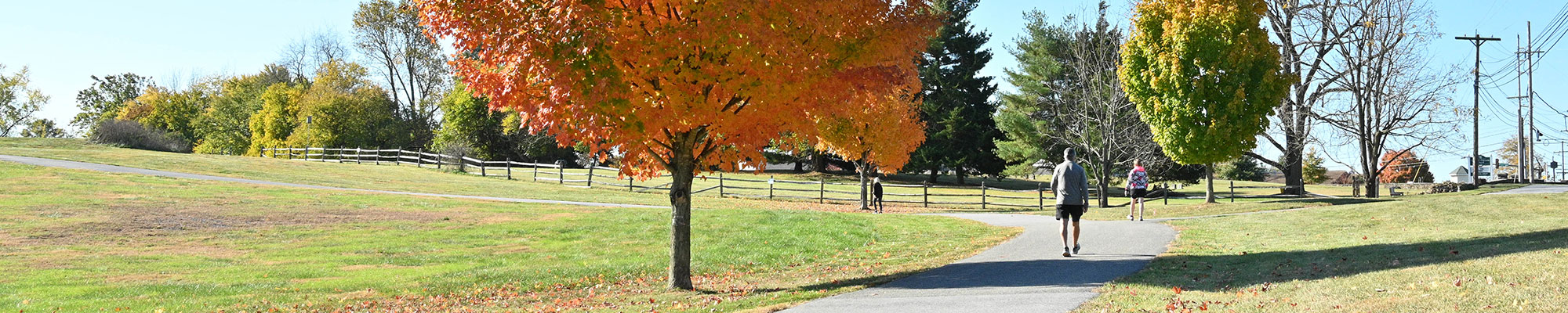 people on a trail