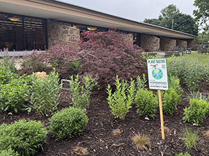 garden outside library